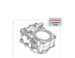 Honda TRX680 TRX 680 Rincon 2006-2016 Engine Cylinder NEW OEM